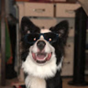 Meet your Posher, Carson